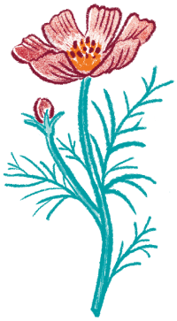 イラスト