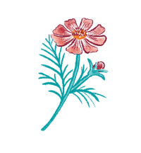 イラスト