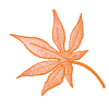 花びら 画像