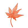 花びら 画像