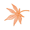 花びら 画像