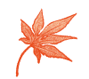 花びら 画像