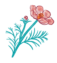 イラスト