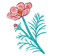 イラスト