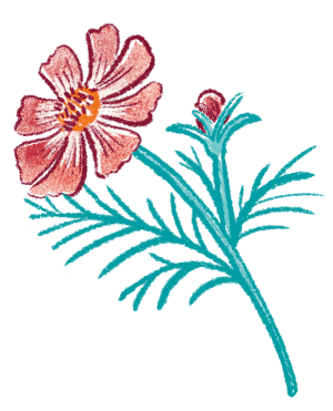 紅葉 イラスト