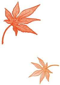 紅葉 イラスト