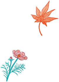 紅葉 イラスト