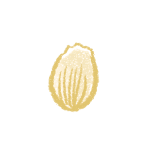 花 イラスト