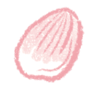 花びら 画像