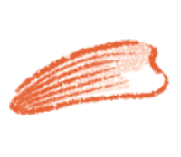 花びら 画像