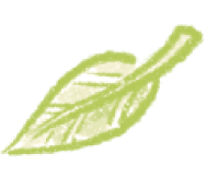 花びら 画像