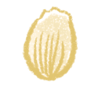花びら 画像
