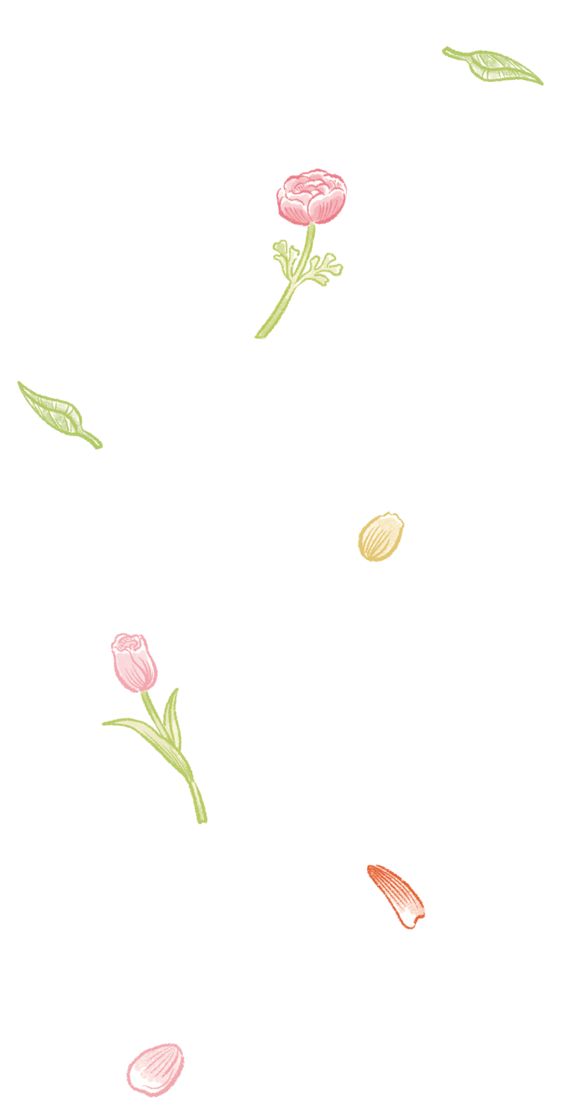 イラスト