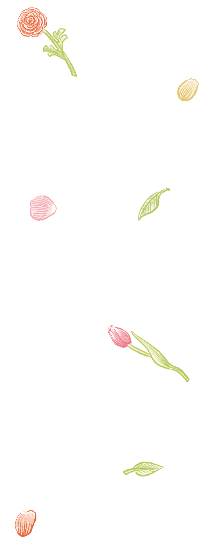 イラスト