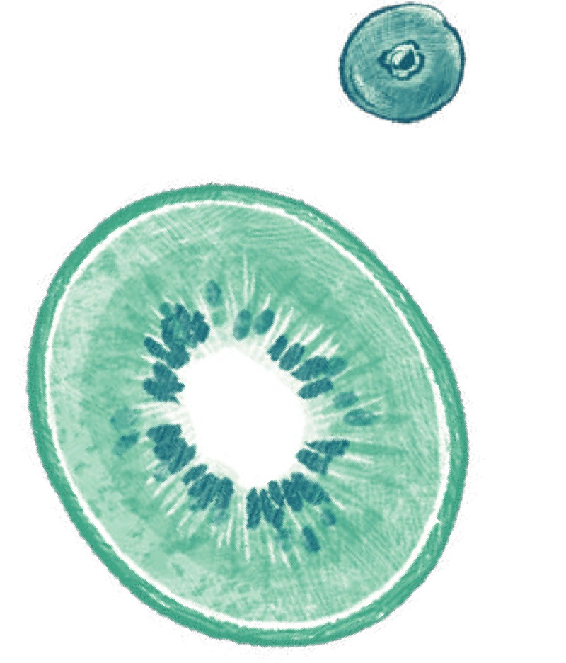 フルーツ イラスト