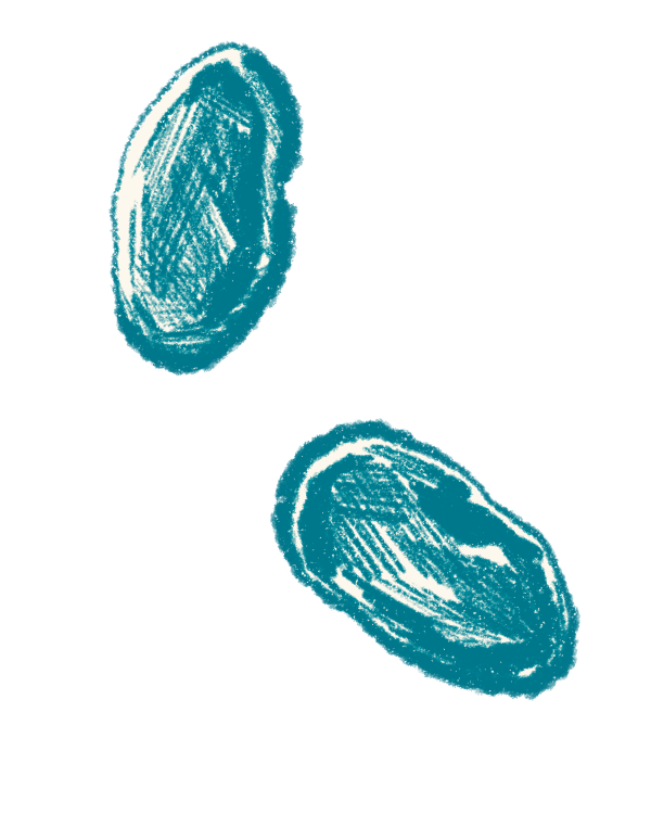 イラスト
