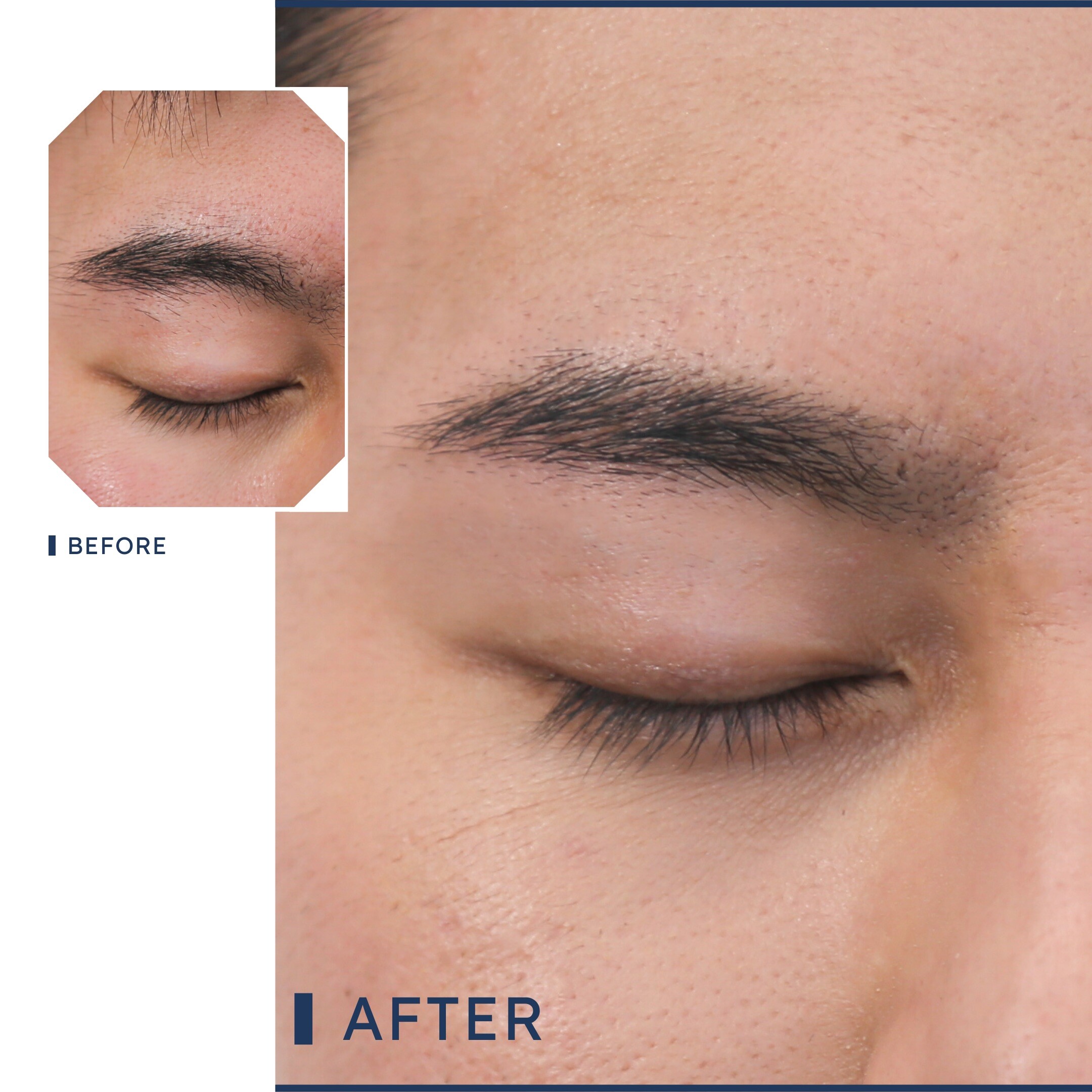 眉毛っち 4baa4972.jpeg