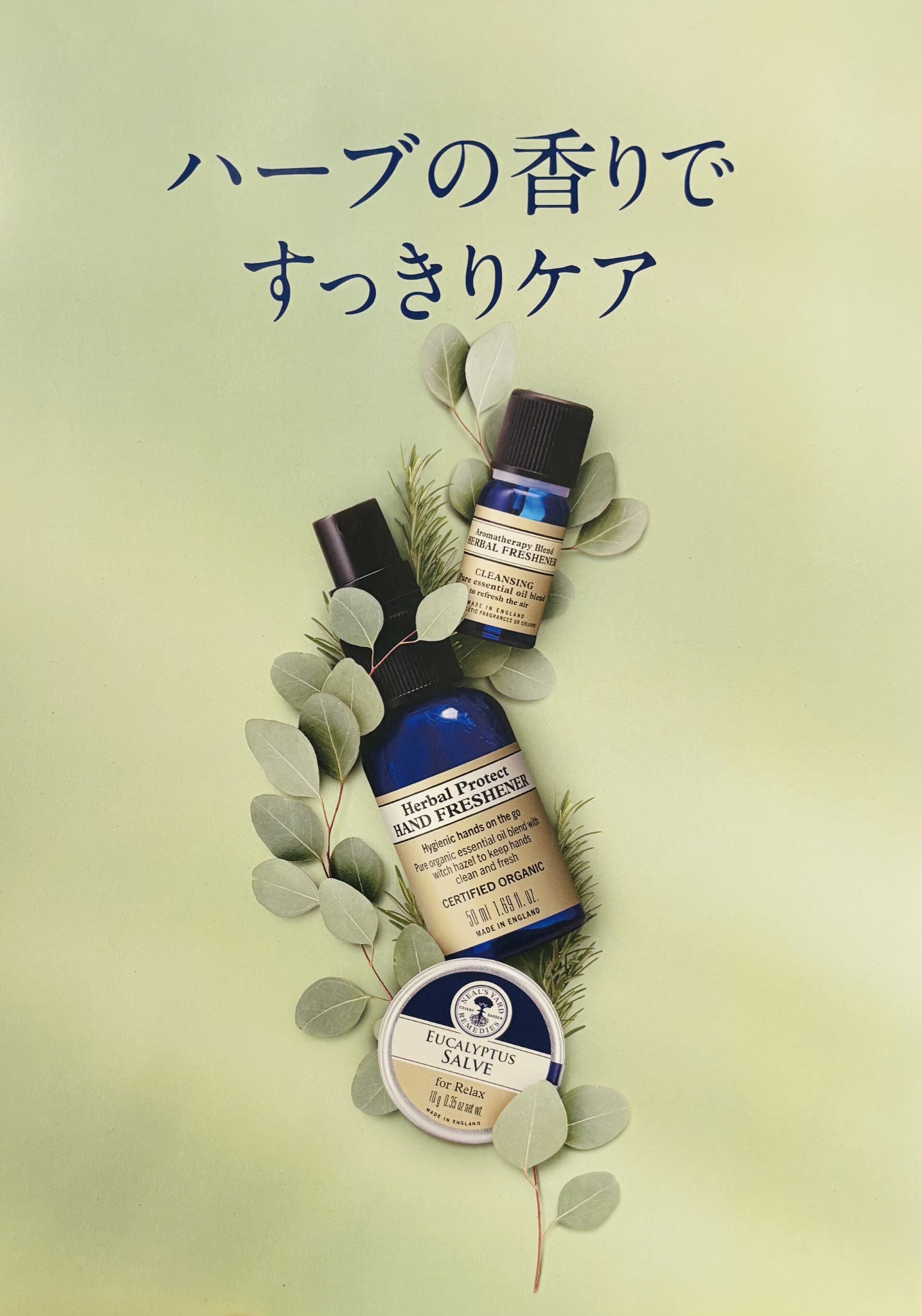 【希少本】ニールズヤードレメディーズ : ハーブを知る・使う・育てる 花粉の季節にハーブですっきり🌿 │ニールズヤード レメディーズ