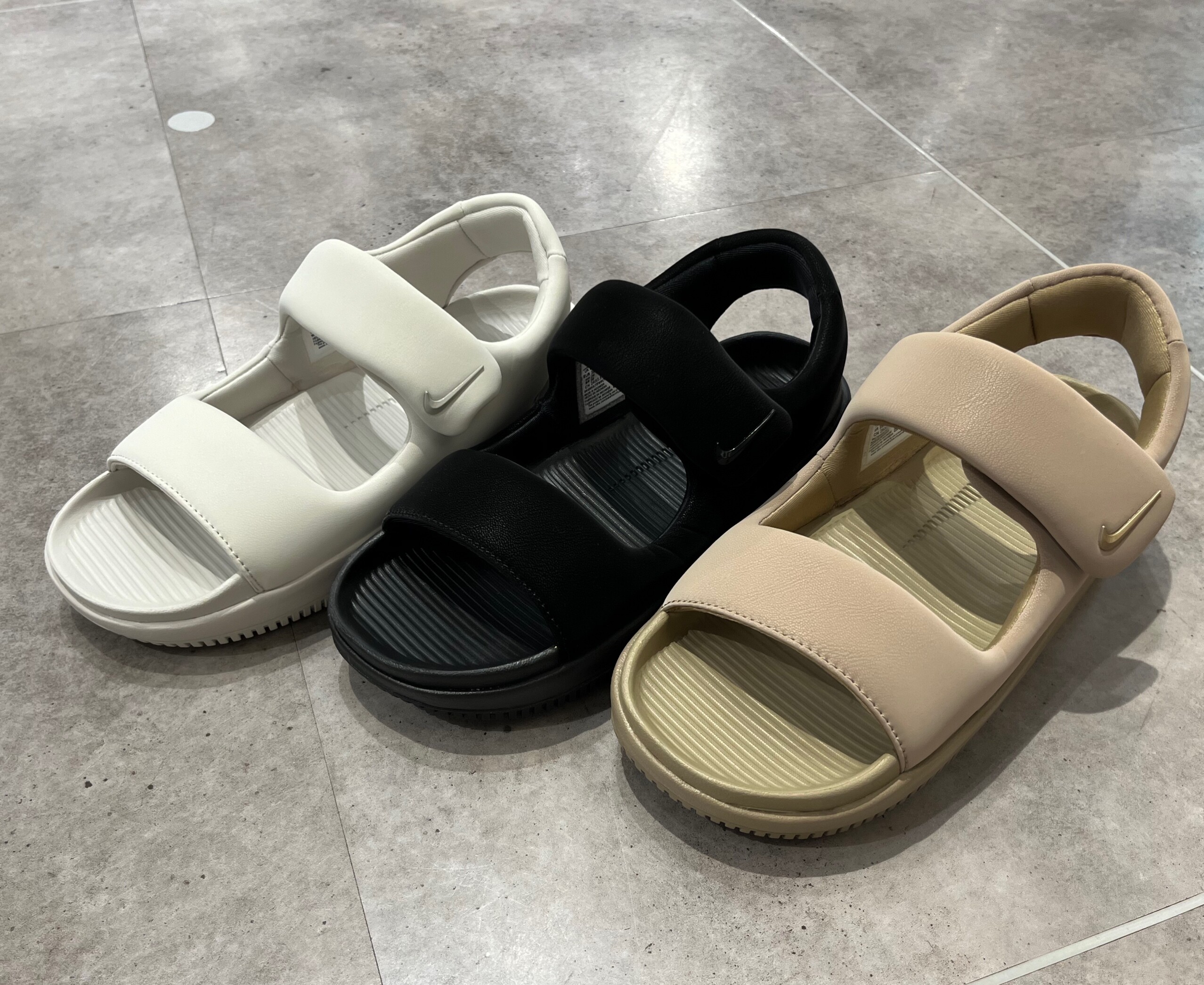 鹿児島　プレマ 51VZ260pADL._UF350,350_QL50_.jpg