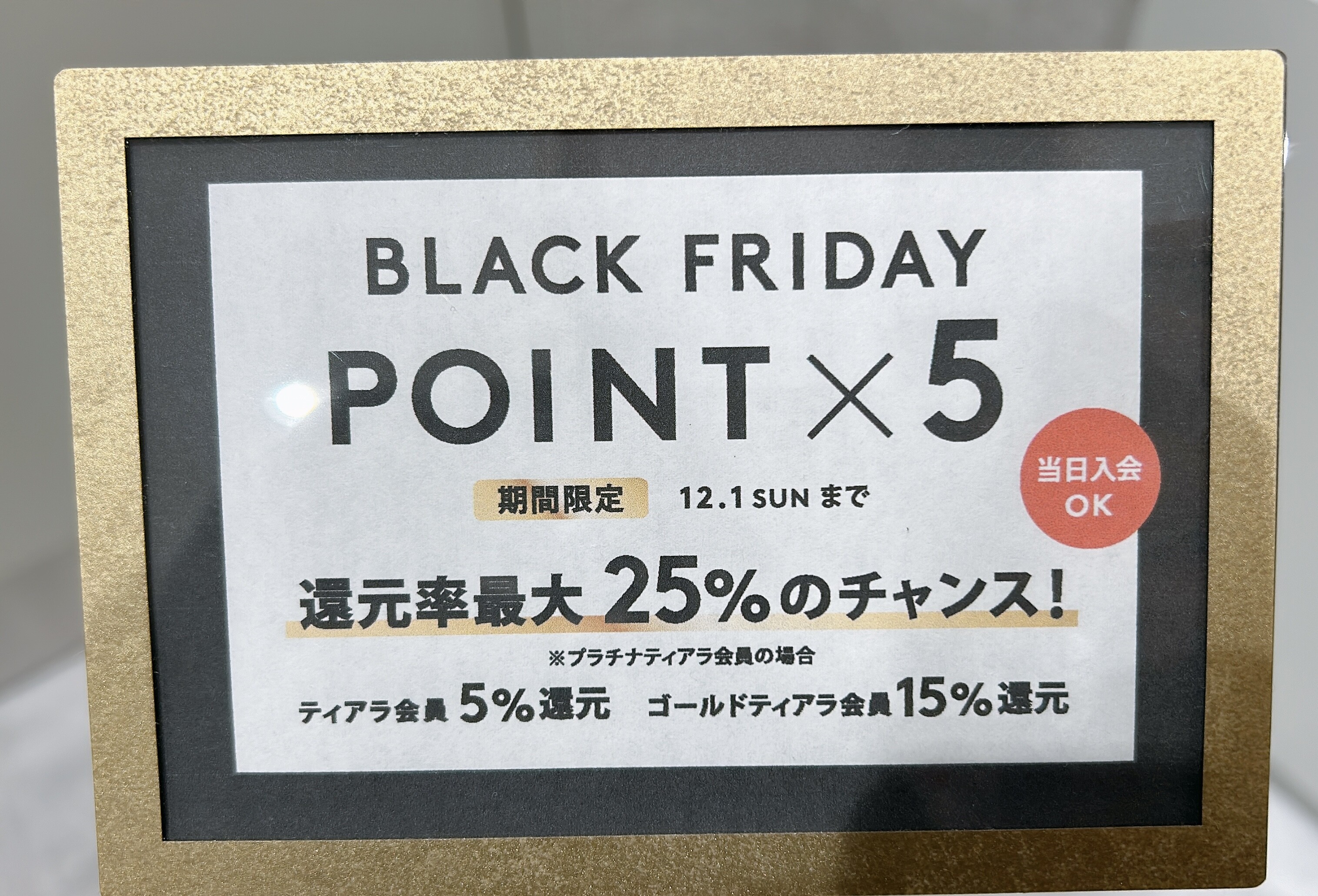 フラビア　5点セット　最終値下げ！ ポイント5倍❣️JQ10%🧡レア！ │アモスタイル バイ トリンプ