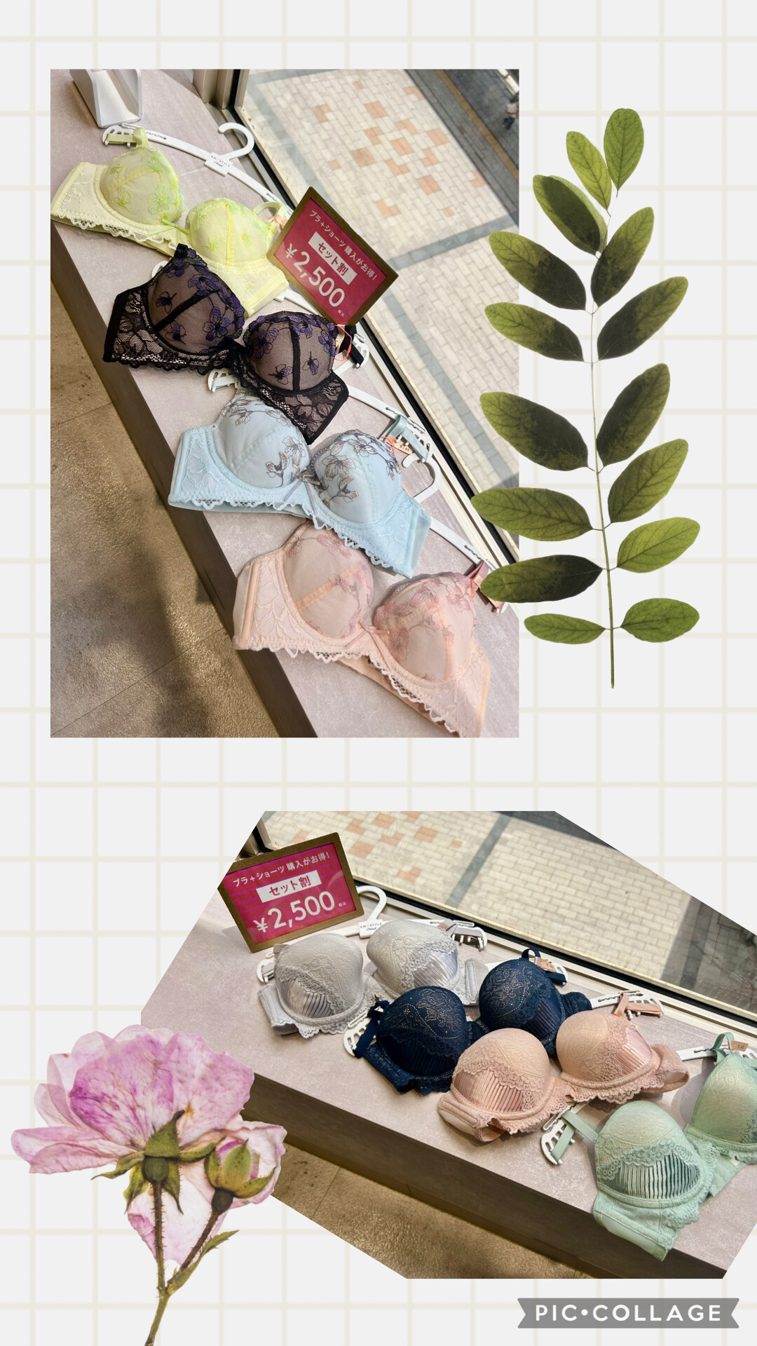 ブラマヨサインと雑誌などブラマヨサインと雑誌などチュ－トリアル生写真多数 セットで2500円👀🌱🦄 │アモスタイル バイ トリンプ │ ショップ