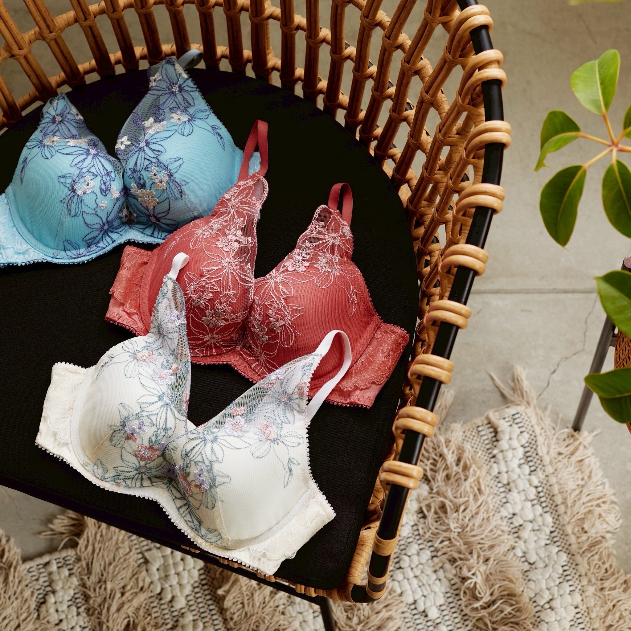 ゆめ f286e47c.jpeg