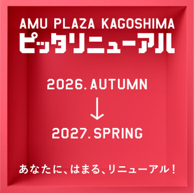 ピッタリニューアル