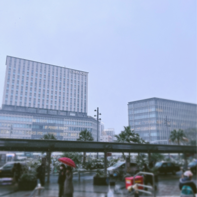 【鹿児島】皆さん！！鹿児島に雪が！！！！！