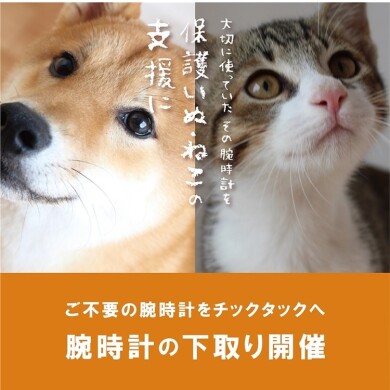 【腕時計下取りキャンペーン】10/16(金)〜10/31(土) に開催!保護いぬ・ねこの支援に。
