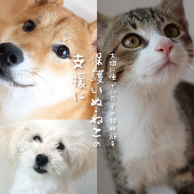 【予告】10/16(木)〜10/31(金) 腕時計下取りキャンペーン開催！保護いぬ・ねこの支援に。
