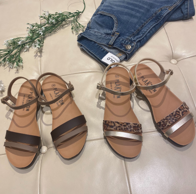プラクトンから新作入荷☘️