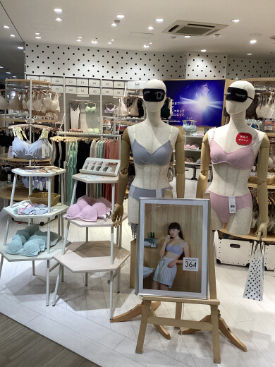 【新作】364ブラシンプル リニューアル🤩