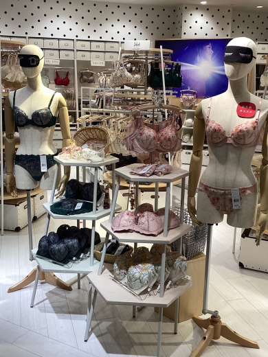 🆕年間ビジュアル 本日より公開📸