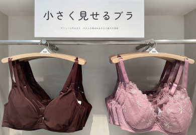 【小さく見せるブラ】