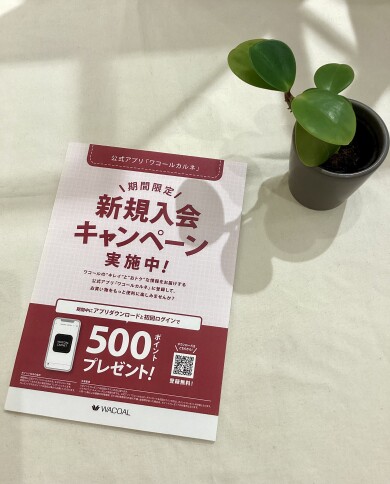 新規様限定キャンペーン🆕ご登録でポイントGET🌟