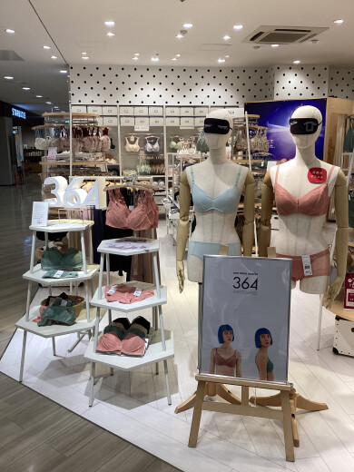 【新作】３６４レース・リニューアル✨