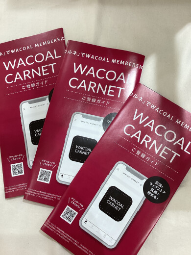 会員様限定⭐️お得なクーポン配布中🉐🉐🉐