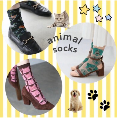 アニマル好き集まれー‼🐱🐶🐰