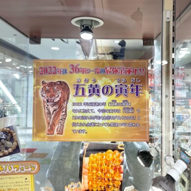 明日25日は【寅の日】🐯