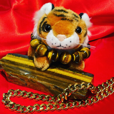 本日寅の日！🐅