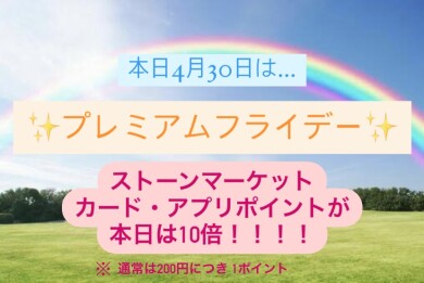 🌟本日ポイント10倍🌟