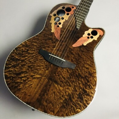 Ovation Celebrity CE44P-TGE-G入荷しました！
