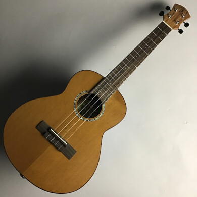 【ウクレレ】aNueNue aNN-T4E 入荷しました！ 