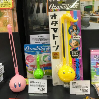 新しい仲間入荷しました！
