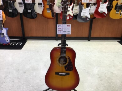 初心者にオススメ　お買い得な中古アコギ入荷！