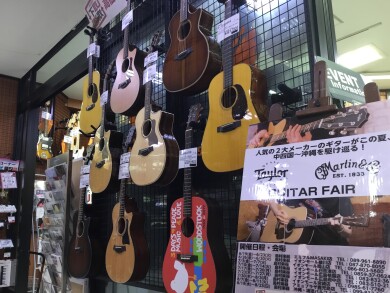 Taylor＆Martinフェア開催！！