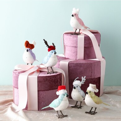 【NEW】クリスマス限定バージョンで新登場🐦✨🎄