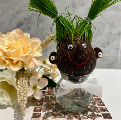 【母の日ギフトにおすすめ】簡単に育てられる植物‪🌱‬‪‬