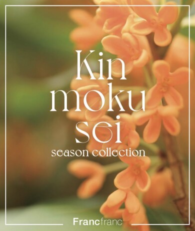 【NEW】秋の香りキンモクセイ💛🌼