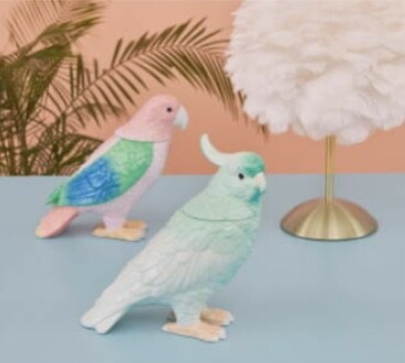 【NEW】これからを彩るインテリア🕊️
